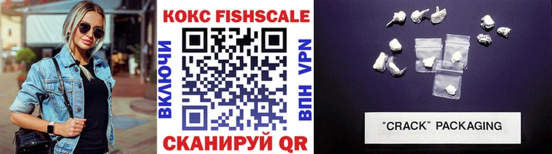 Cocaine Fish Scale  Купить закладки  Берёзовский 