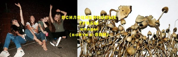 трава Ладушкин