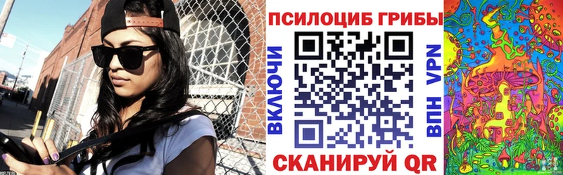 Купить  Берёзовский  Галлюциногенные грибы GOLDEN TEACHER 